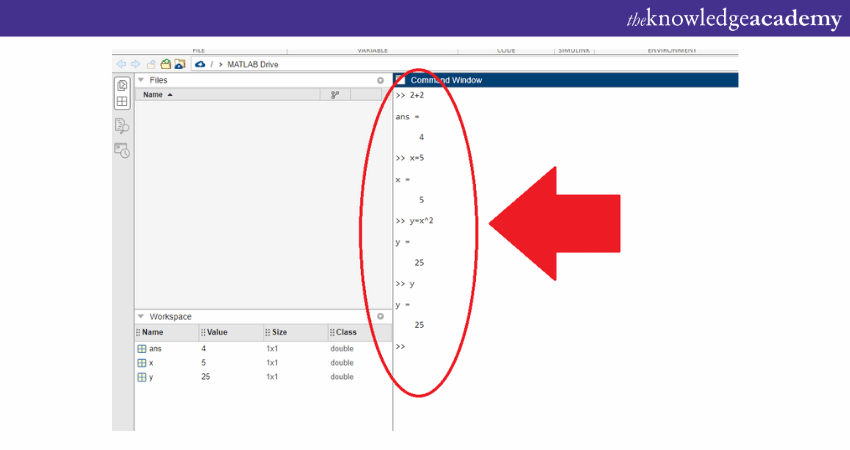 Finding values stores in a variable in MATLAB on Windows