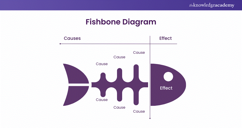 Fishbone Diagram