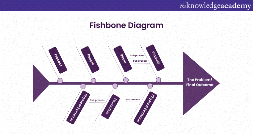 Fishbone Diagram