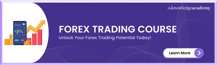 Forex Trading Courses