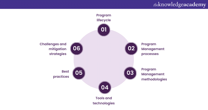 Framework of IT Program Management