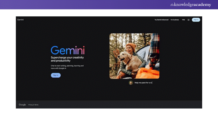 Gemini AI