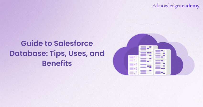 Guide to Salesforce Database