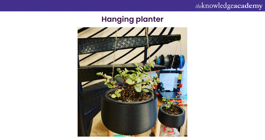 Hanging Planter