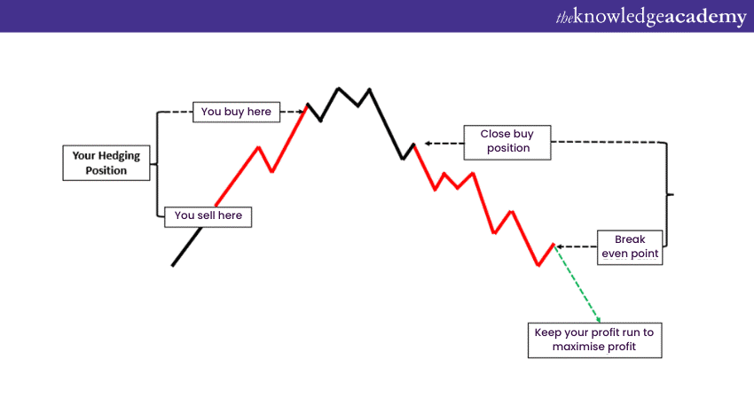 Hedging Strategy