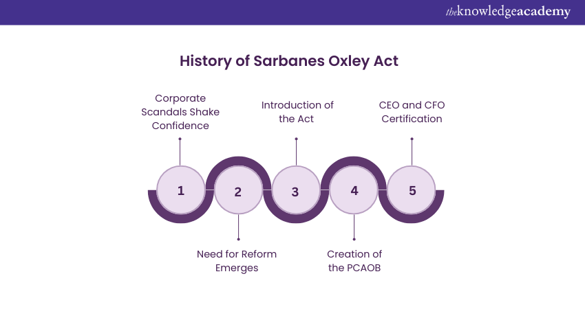 History of Sarbanes Oxley Act  