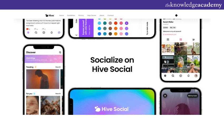 Hive Social interface