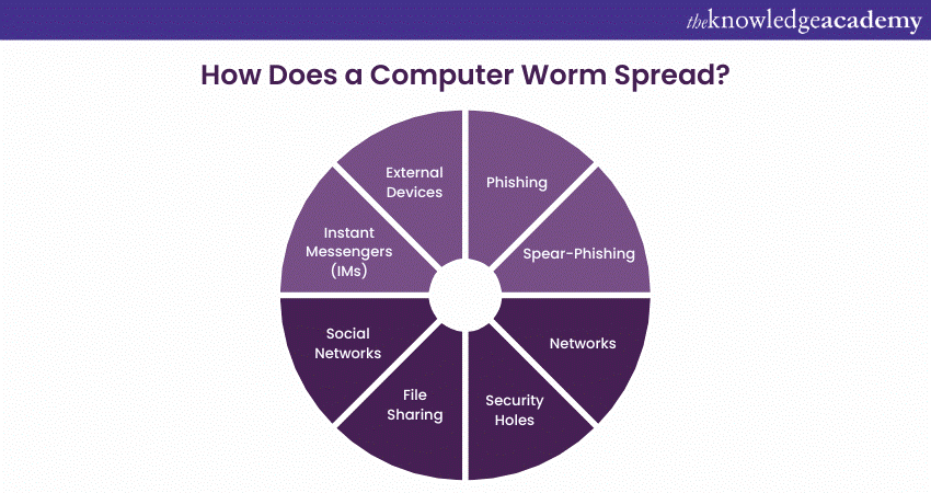 How Does a Computer Worm Spread