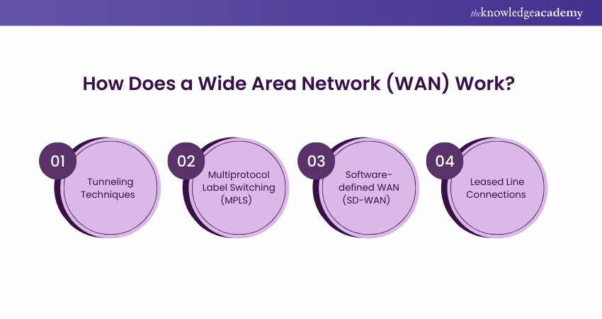 How Does a Wide Area Network Work