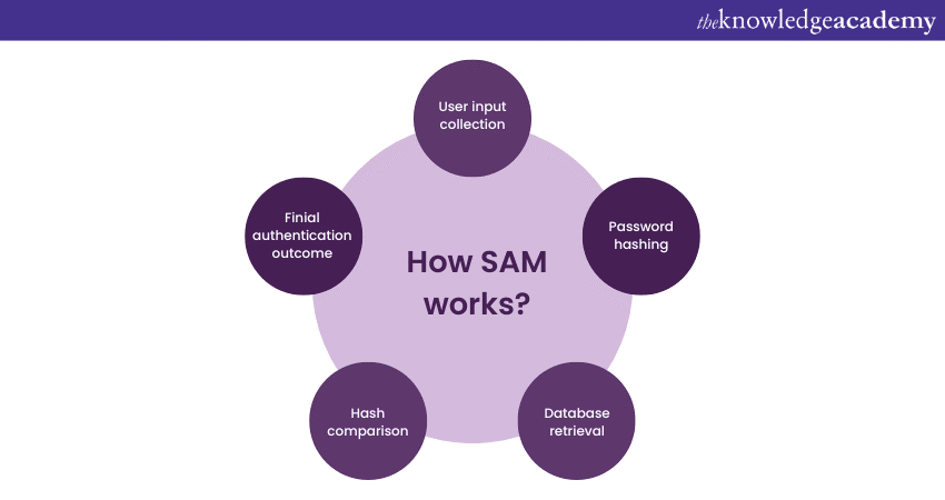 How SAM works