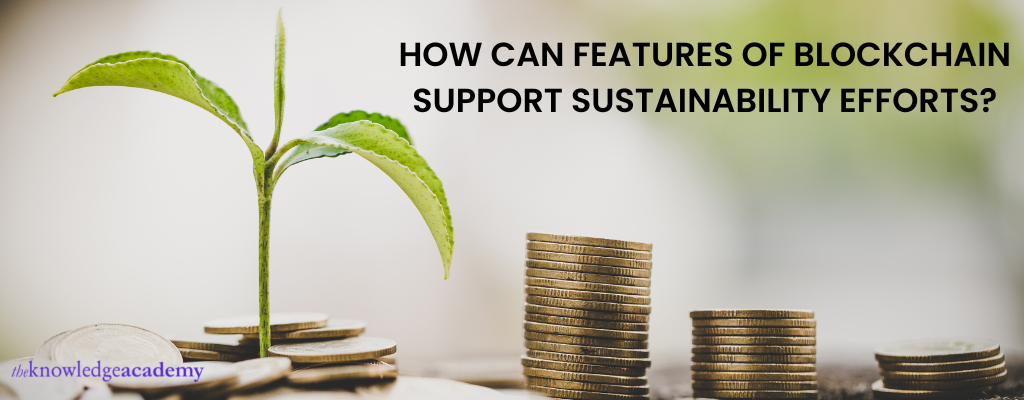 How can features of blockchain support sustainability efforts