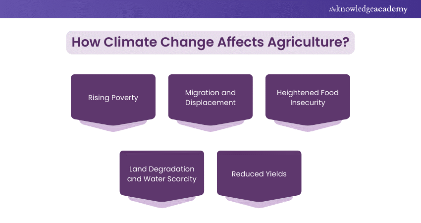 How climate change affects agriculture