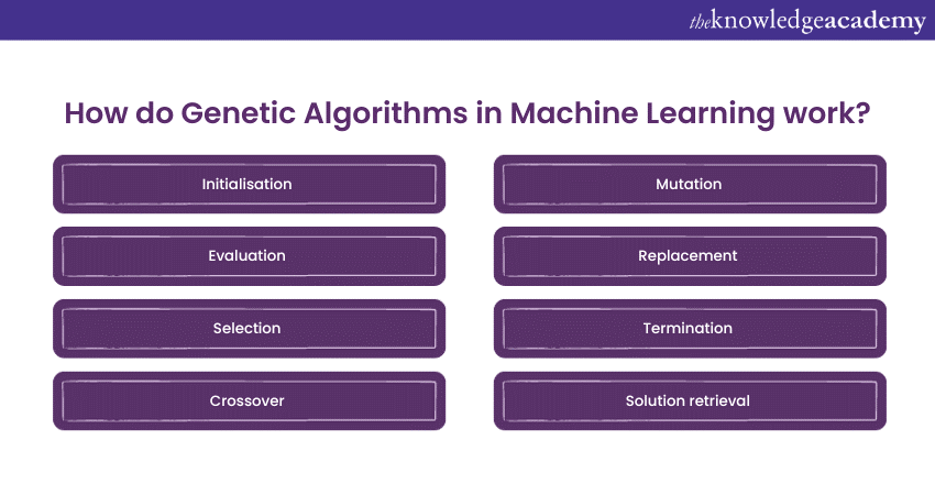 How do Genetic Algorithms in Machine Learning work