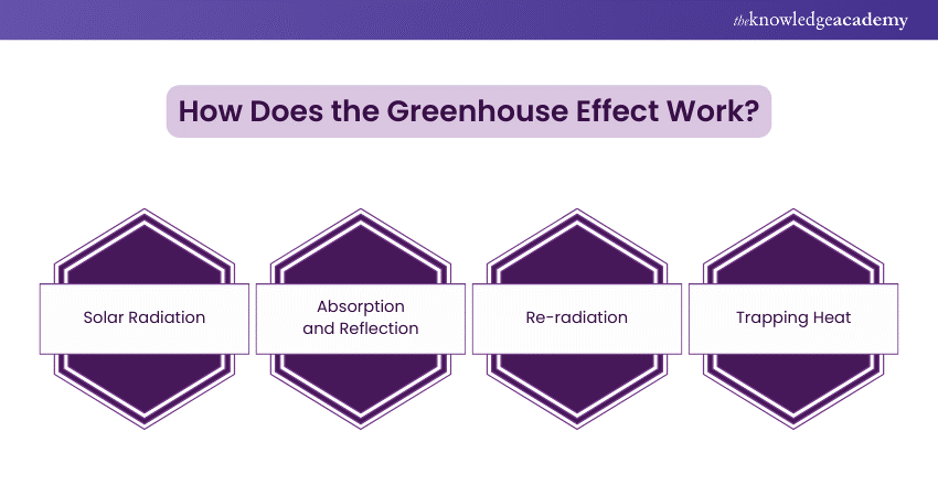 How does the Greenhouse Effect work