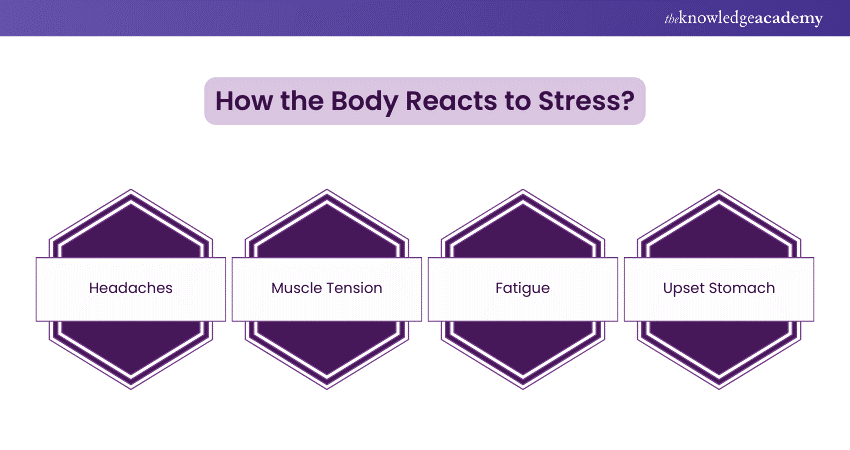 How the Body Reacts to Stress?