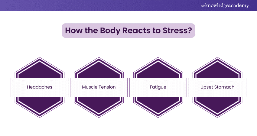 How the body reacts to Stress