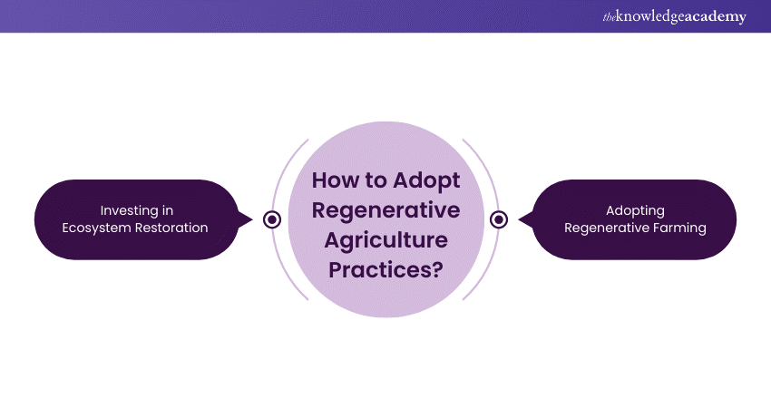 How to Adopt Regenerative Agriculture Practices