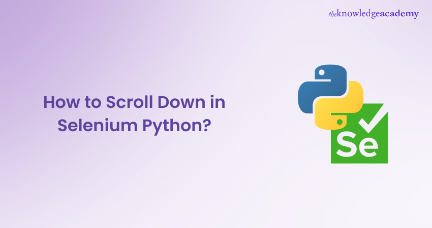 How to Scroll Down in Selenium Python: Step-by-Step Guide