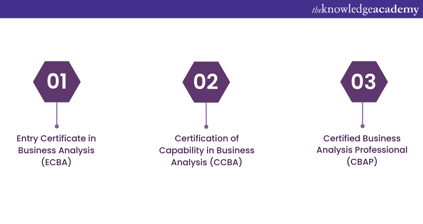 IIBA certification levels and paths