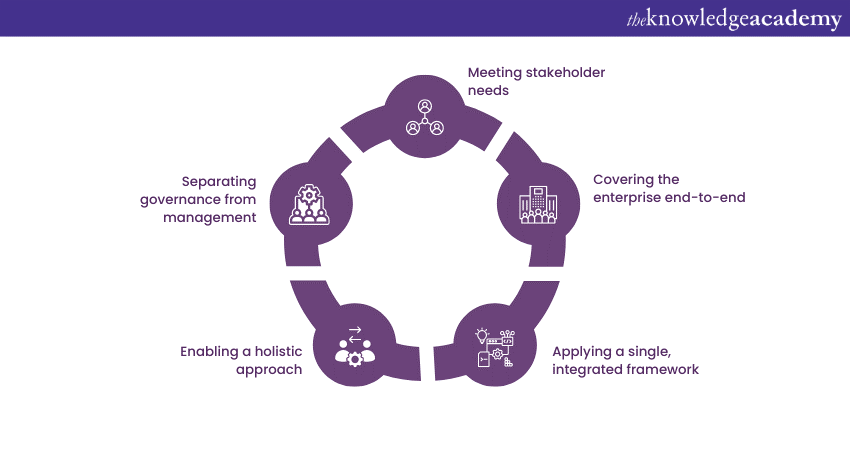 Implementing COBIT 5 Principles 