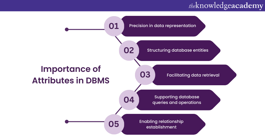 Importance of Attributes in DBMS 