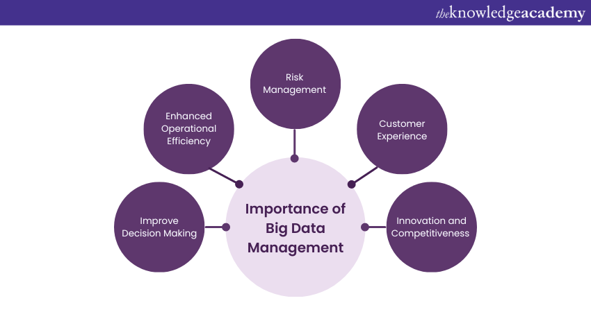 Importance of Big Data Management