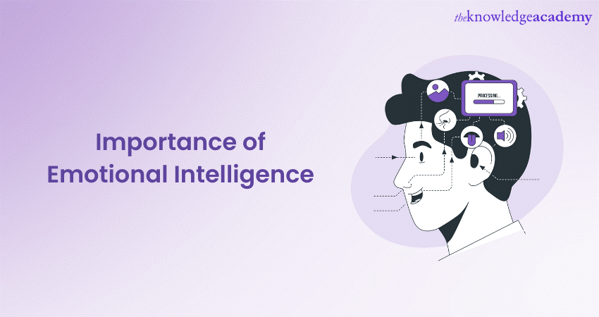 Importance of Emotional Intelligence: A Detailed Guide 