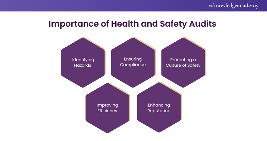 Importance of Health and Safety Audits