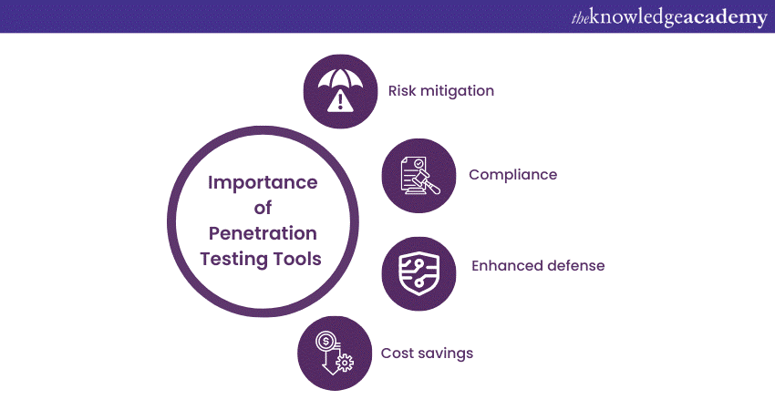 Importance of Penetration Testing Tools