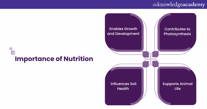 Importance of Plant Nutrition