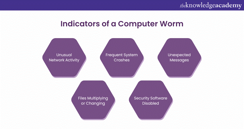 Indicators of a Computer Worm