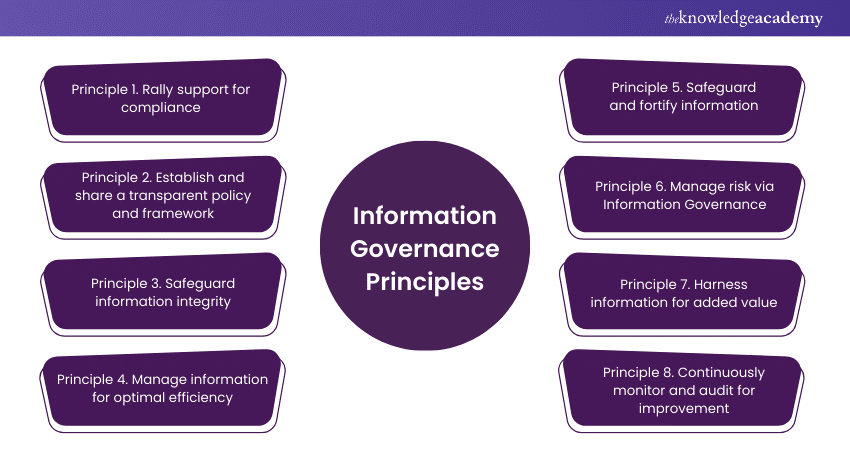 Information Governance Principles That You Need To Know