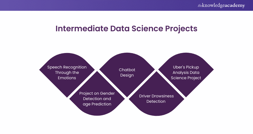 Intermediate-level Data Science Projects