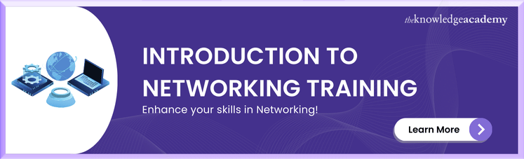 Introduction to Network Training 