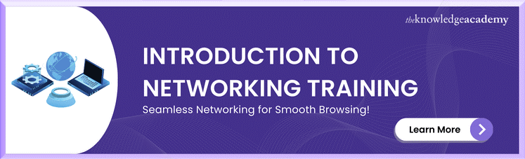 Introduction to Networking Training