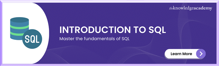  Introduction to SQL Course 