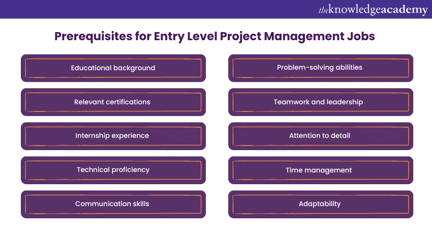 Job requirements for Entry Level Project Management Jobs