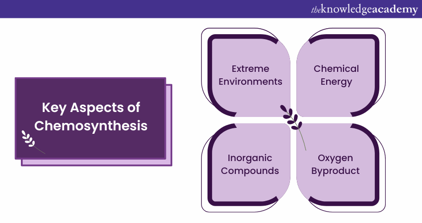 Key Aspects of Chemosynthesis