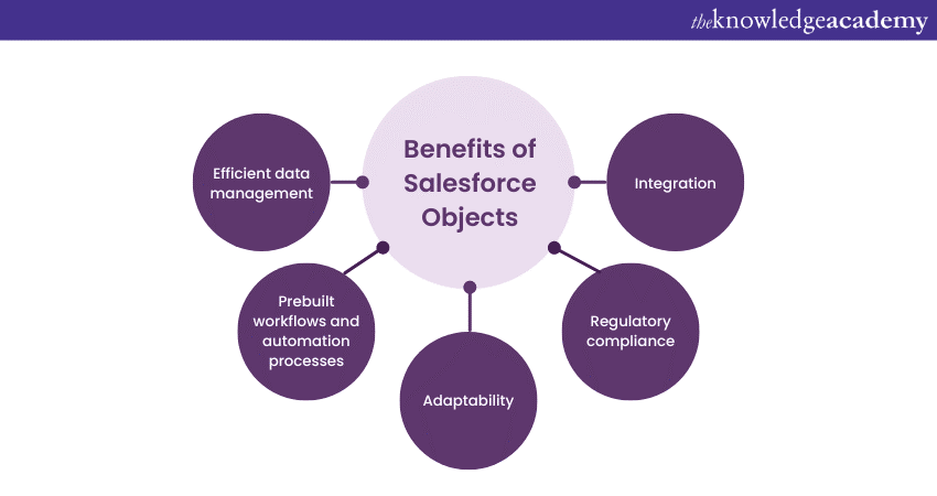 Key Benefits of Salesforce Objects