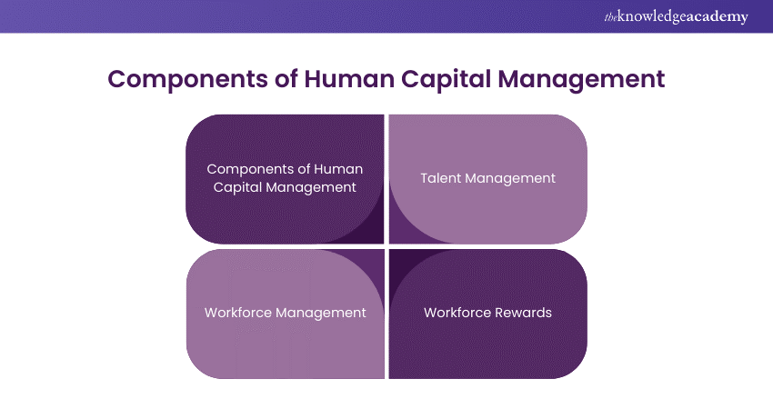 Key Components of Human Capital Management