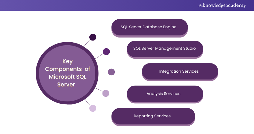 Components of Microsoft SQL Server