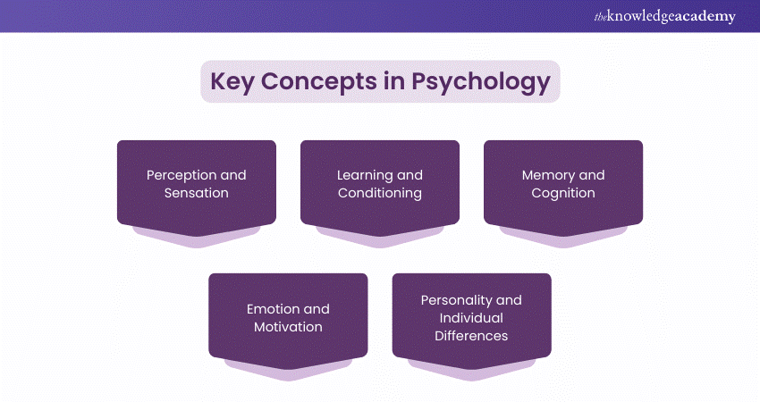 Key Concepts in Psychology