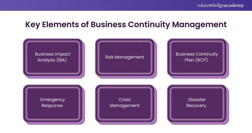 Key Elements of Business Continuity Management 