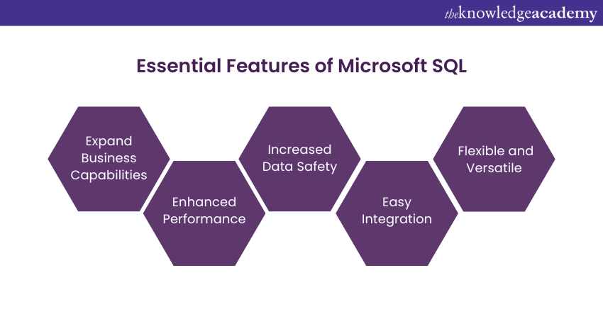 Key Features and Capabilities of SQL