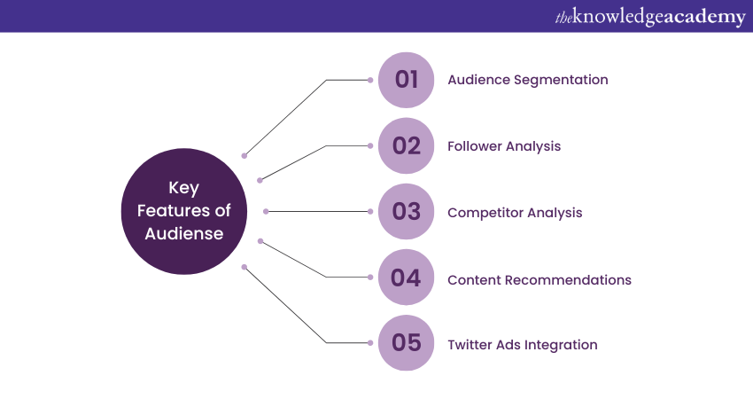 Key Features of Audiense