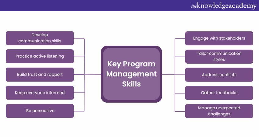 Program Management Skills