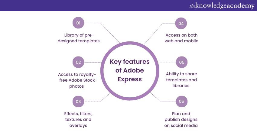 Key features of Adobe Express