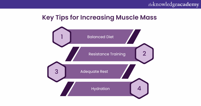 Key tips for increasing Muscle mass