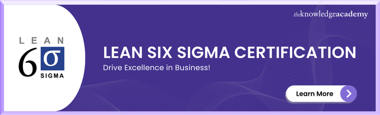 Lean Six Sigma Certification