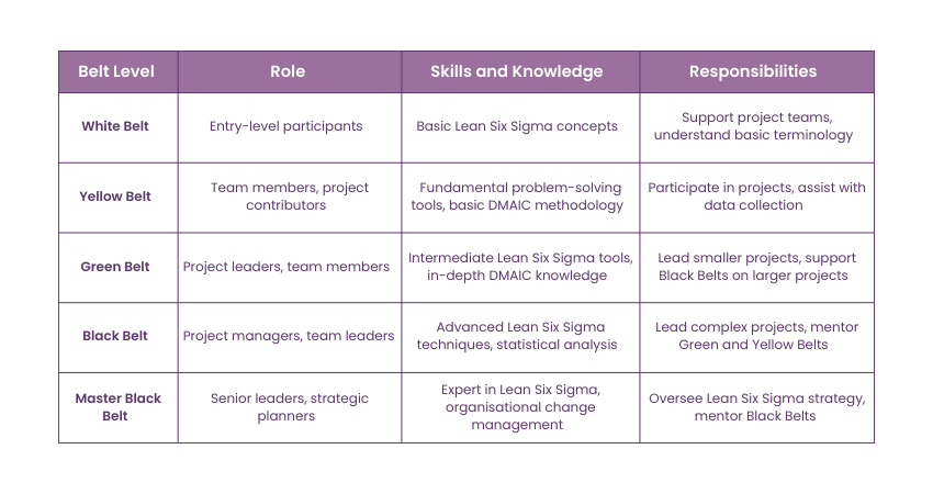 Lean Six Sigma Levels